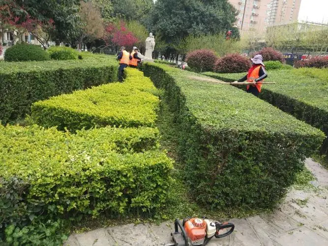 无锡城市绿化花箱标准尺寸